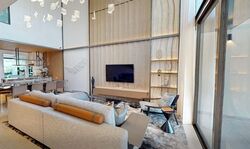 Pollen Collection (D28), Terrace #501469981